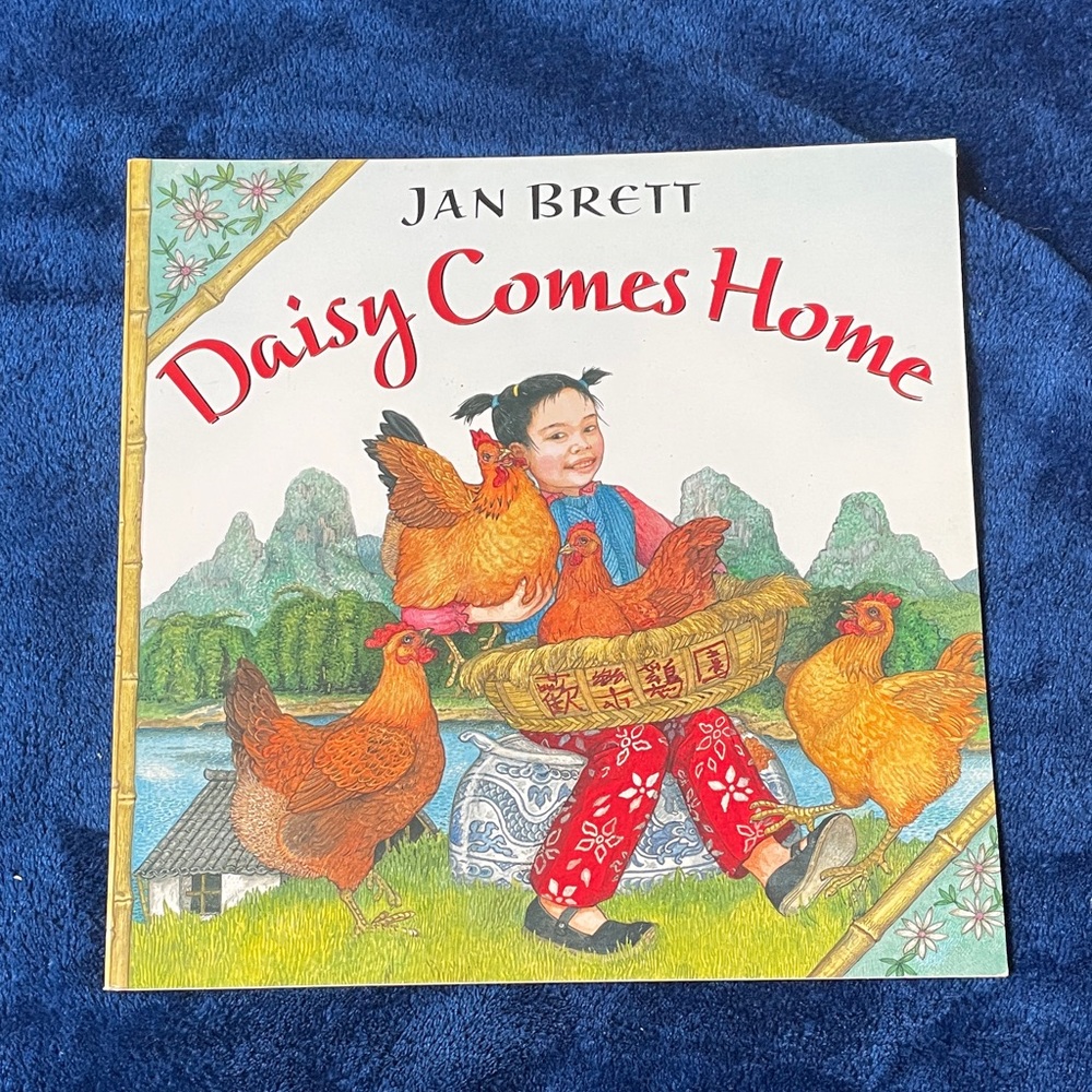 Daisy Comes Home Book by Jan Brett